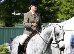 Horse being ridden in the show ring