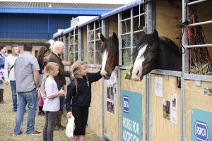 Equifest 2016