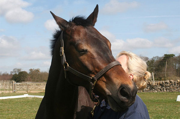 Retraining a Racehorse