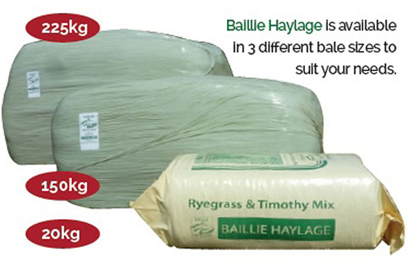 Baillie Haylage have a range of products to suit differing nutritional needs. Coming is bales or bags, the single and multiple horse owners can readily be catered for.