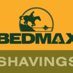 BEDMAX Shavings Name Young Rider Scholarship Winner