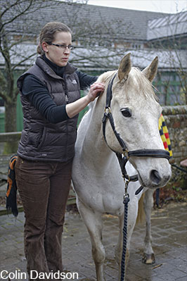 Things to consider when choosing an Equine Back Person