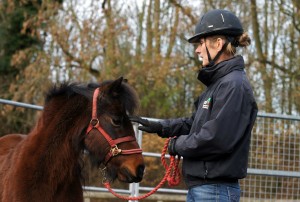Sarah Hallsworth, Equine Behaviour Manager, working with Pippin