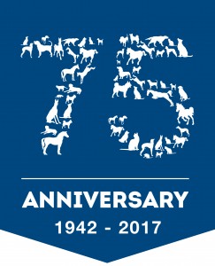 75 anniversary logo blue