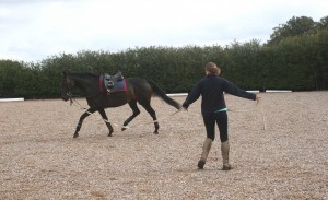 With some guidance this lady has now go the hang of things and her mare is co-operating nicel