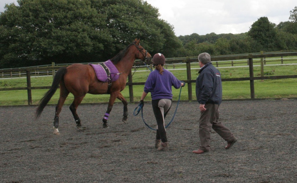 Fred guides a young student in the art of lunge work. Here he demonstrates encouraging the horse to move forward without the use of a lunge whip by offering his hand and positioning himself behind the horse’s mid-line.