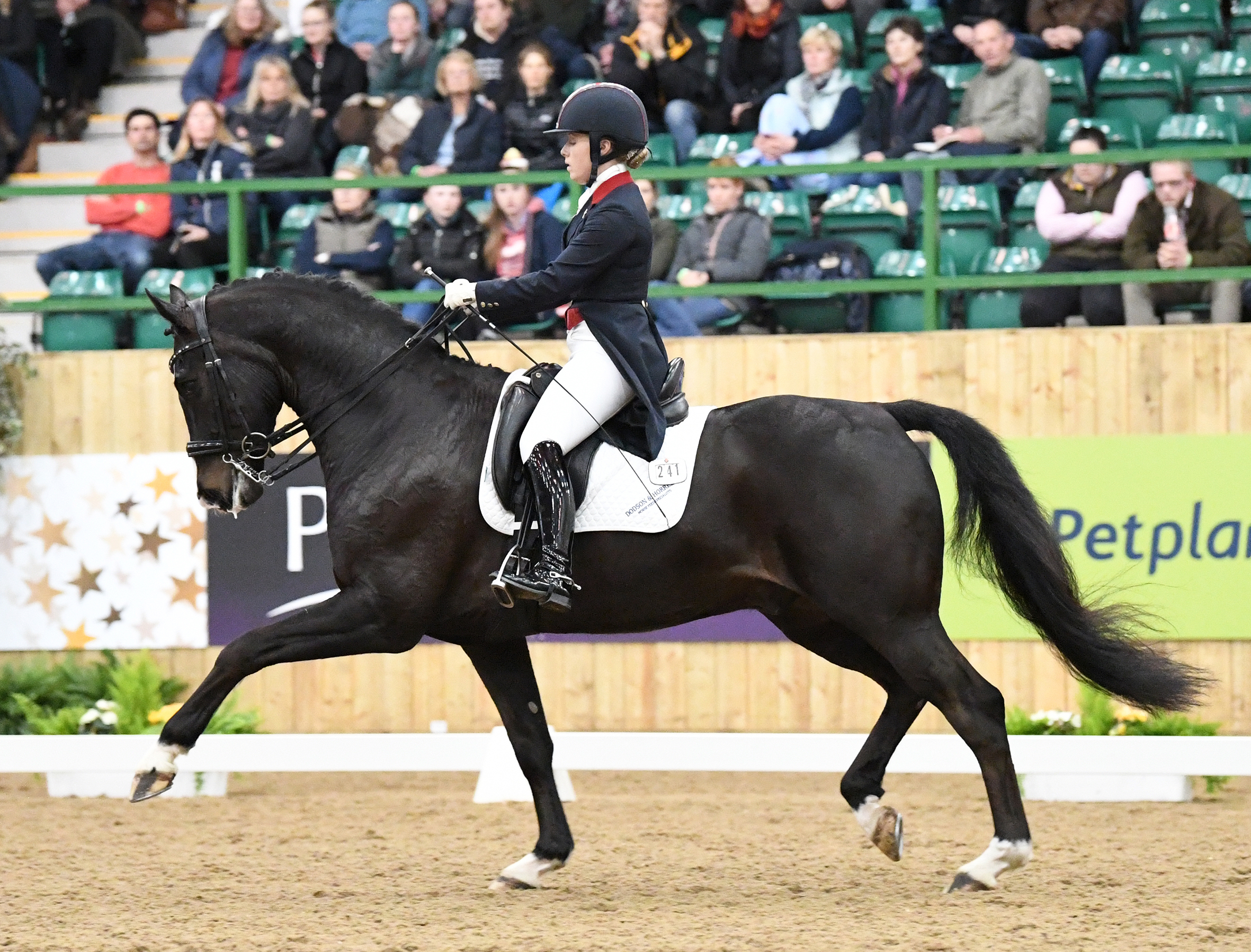 Success for Sophie at Winter Dressage Championships Let's Talk Horses