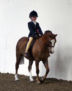 Supreme Champions Tia Wynne-Rogerson and Carylmai Trade Secret, photo by Redwings Horse Show.