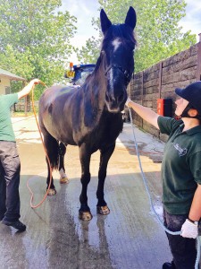 Viscount cools down with a shower after arrival